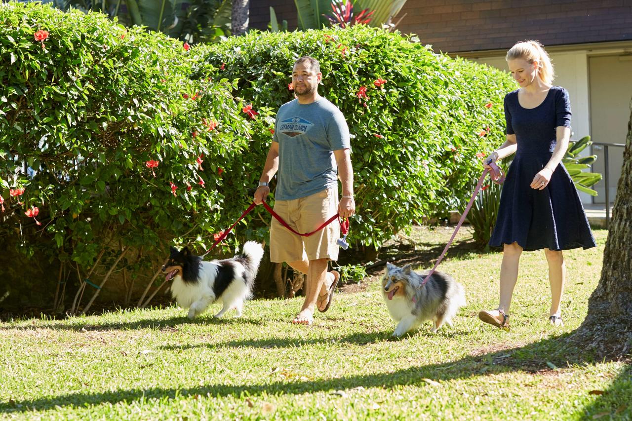 Best Western The Plaza Hotel - Free Breakfast - thumb 30