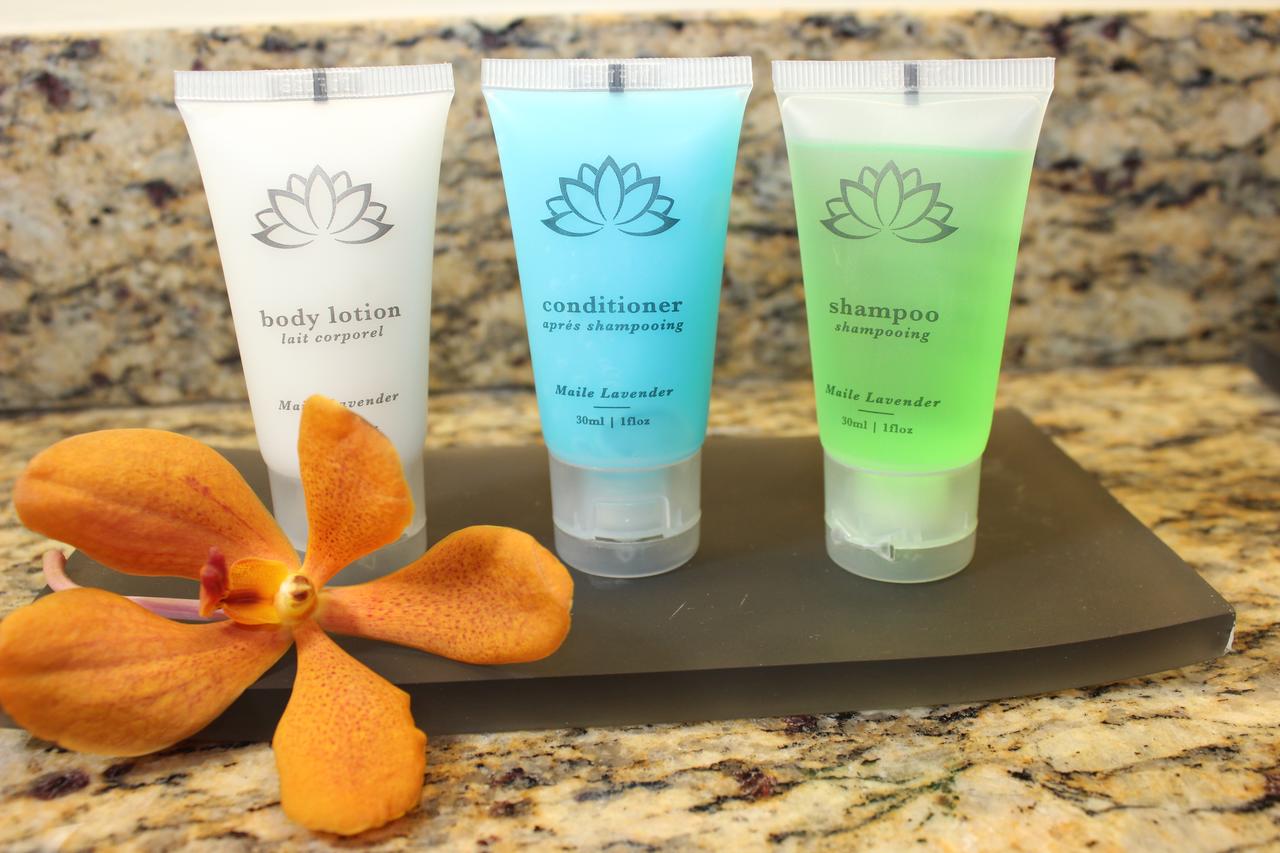 Best Western The Plaza Hotel - Free Breakfast - thumb 38