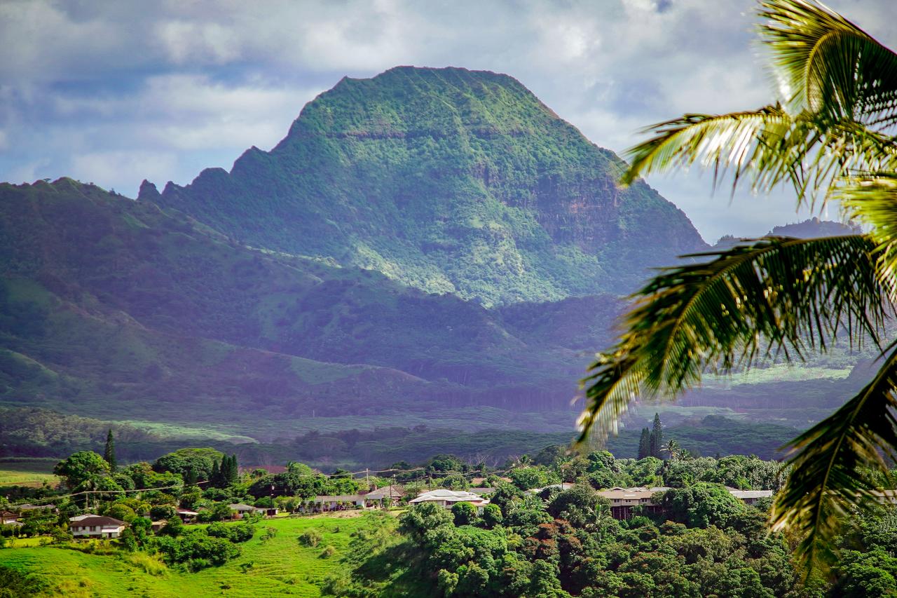 Kalaheo View - thumb 31