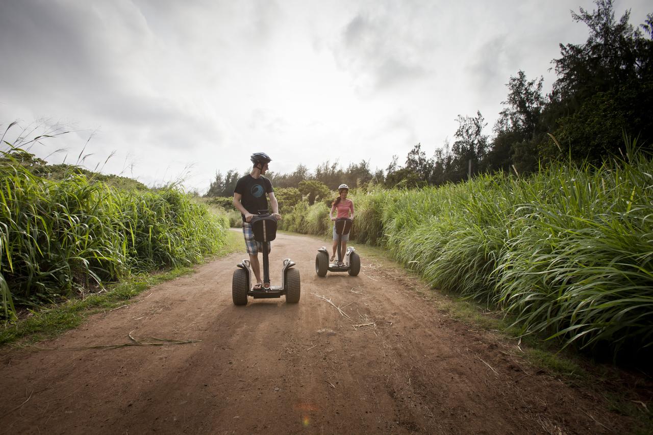 Turtle Bay Resort - thumb 32
