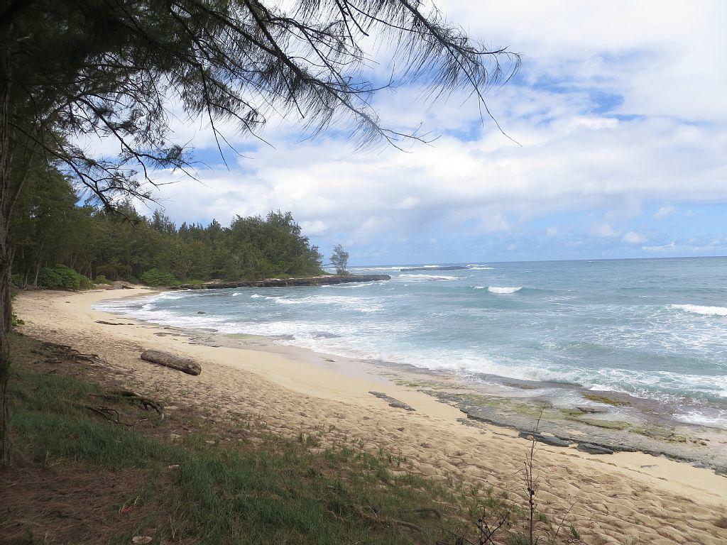 Elegant Turtle Bay Condo - thumb 12