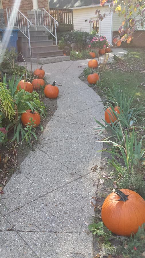 Rose Corner Inn - thumb 17