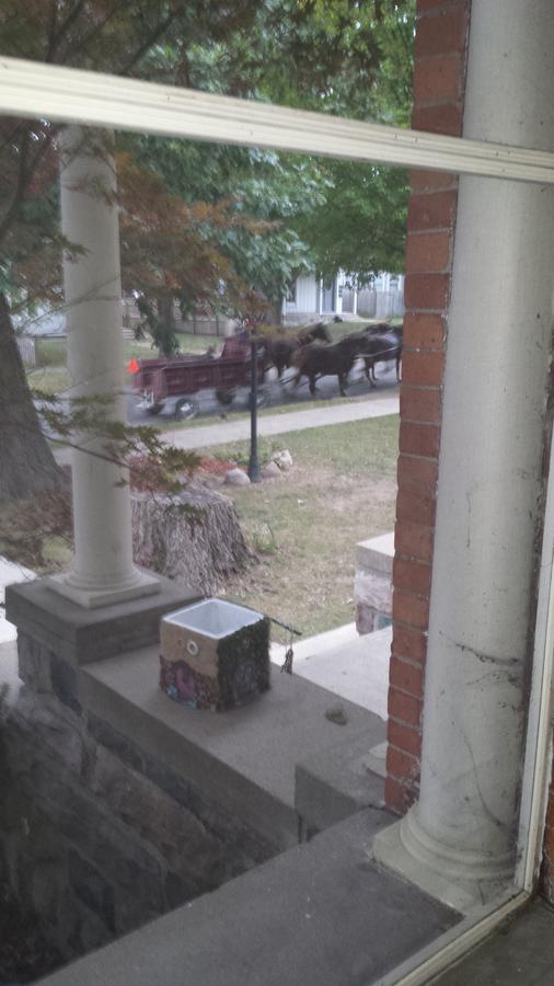 Rose Corner Inn - thumb 15