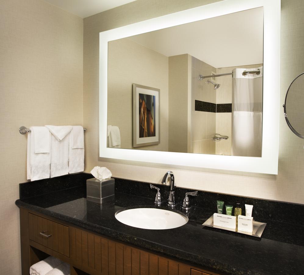 Hilton Minneapolis - thumb 24