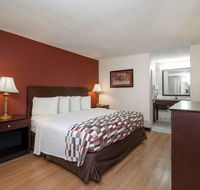 Red Roof Inn Gulfport - Biloxi Airport - Accommodation Missouri