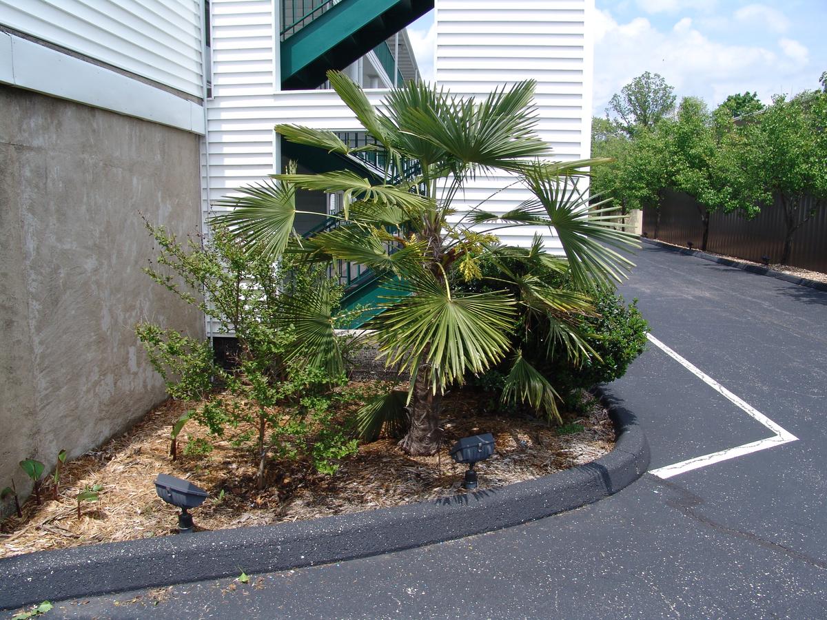 Lynina Inn - thumb 38