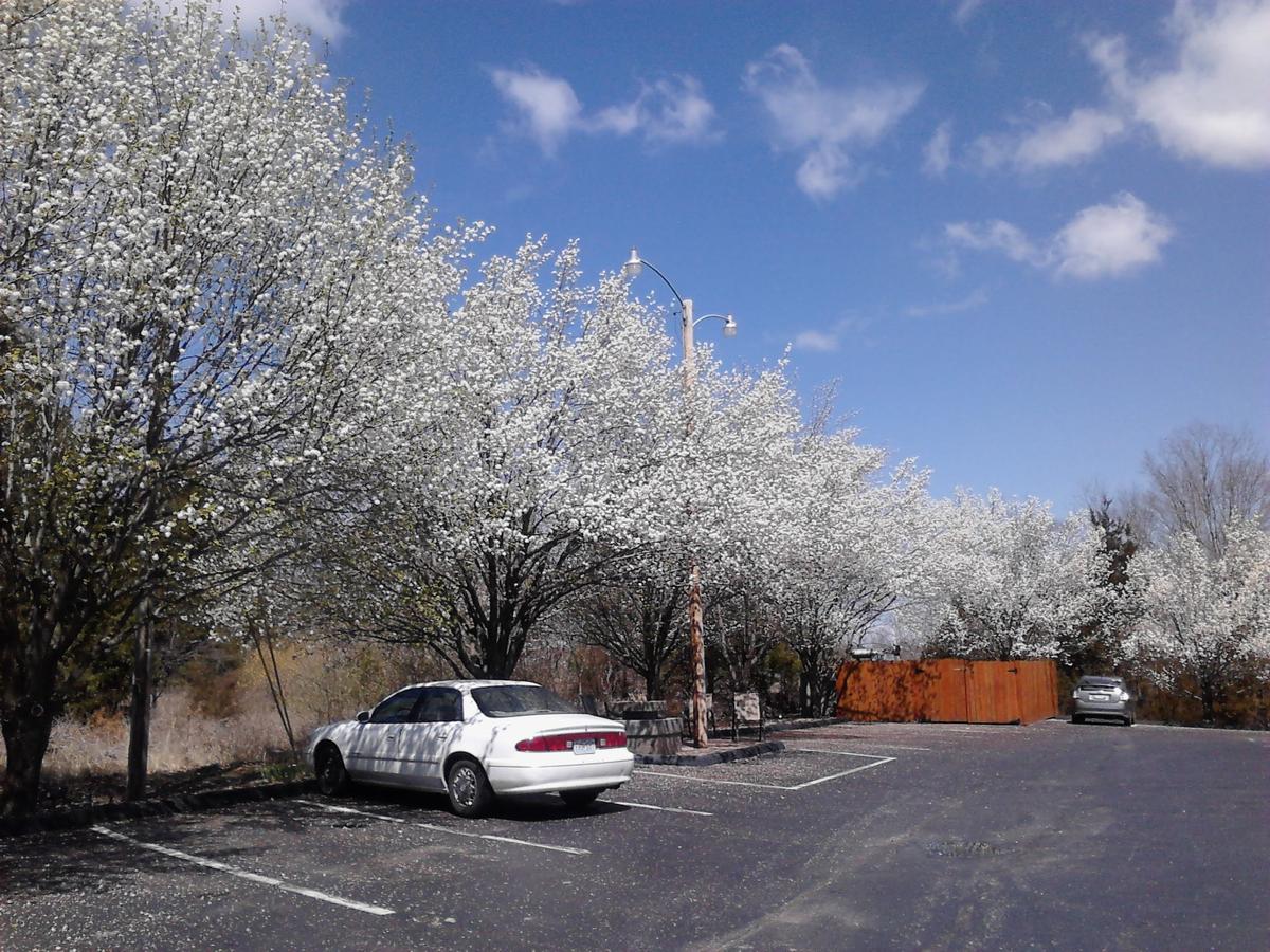 Lynina Inn - thumb 29