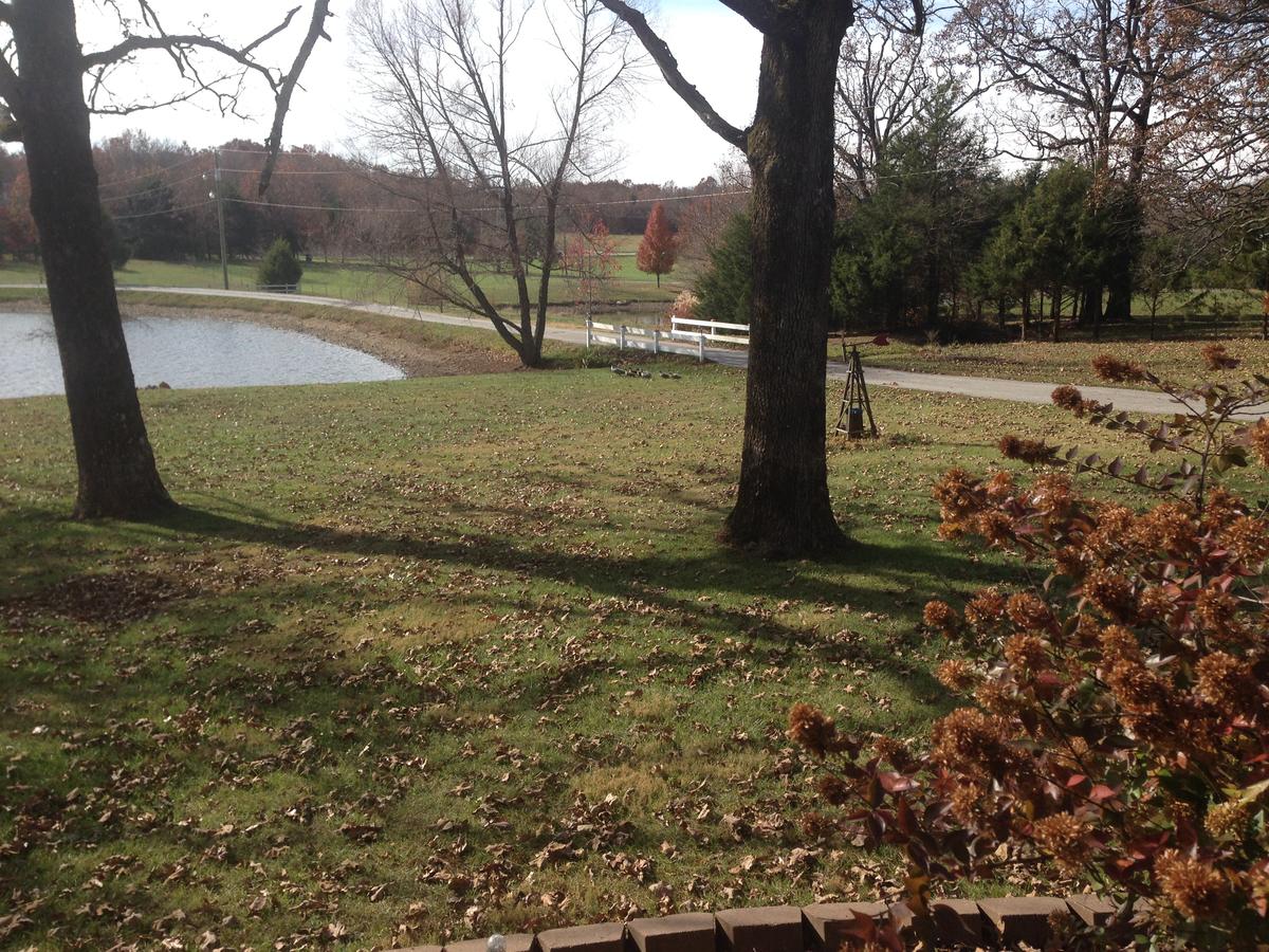 Swan Song Inn - thumb 37