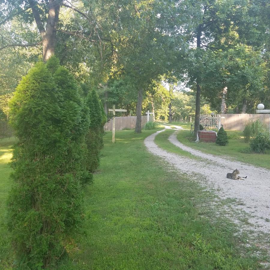 Country Side Inn Bnb - thumb 3