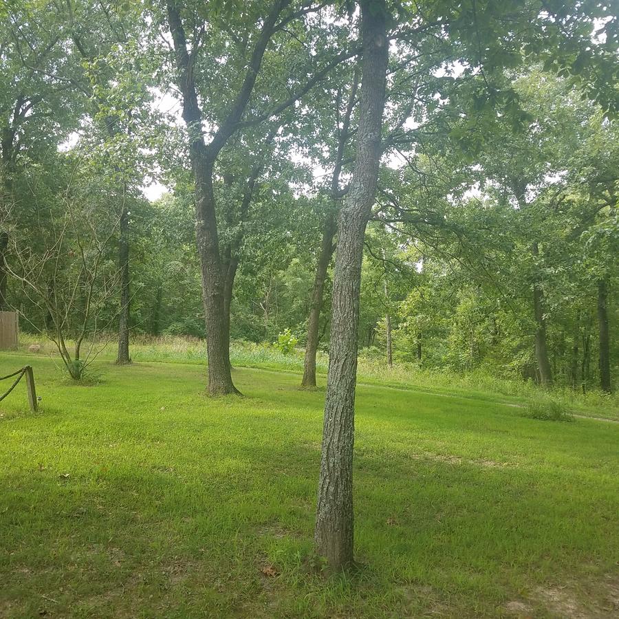 Country Side Inn Bnb - thumb 15