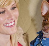 Home2 Suites By Hilton Omaha Un Medical Ctr Area - Accommodation Missouri