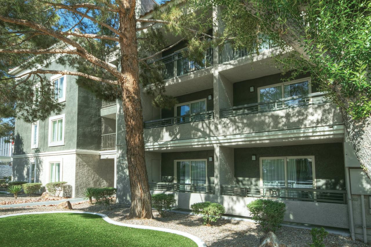 Desert Rose Resort - thumb 28