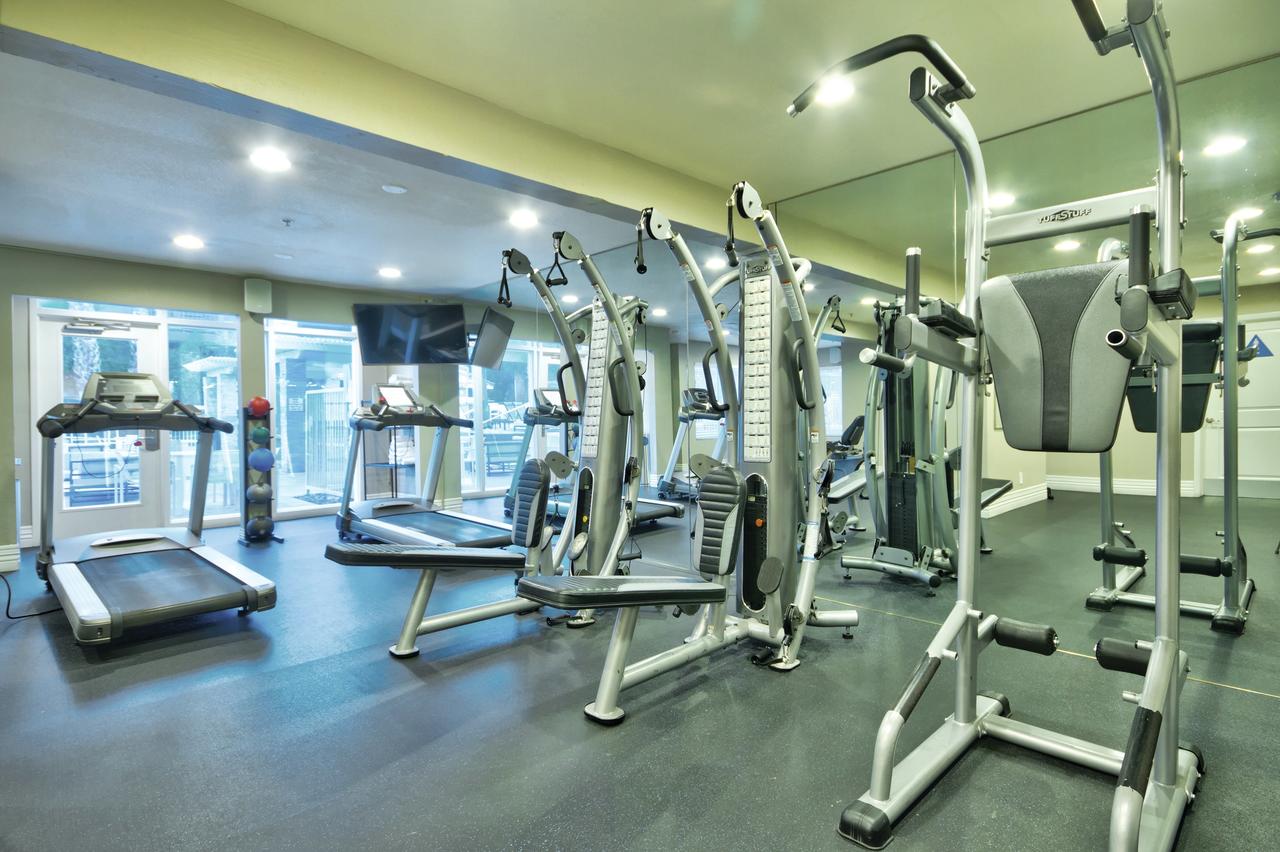 Desert Rose Resort - thumb 1