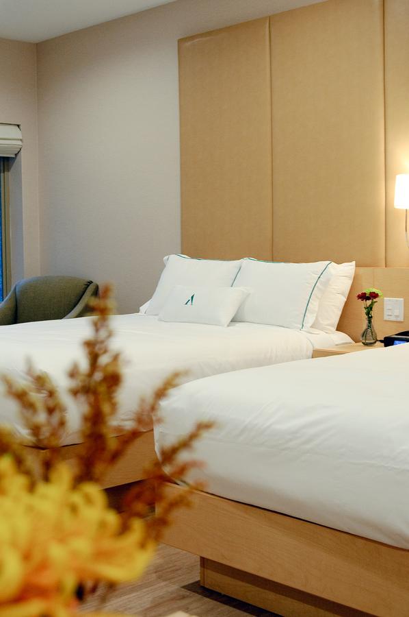 Arlington Hotel - thumb 40