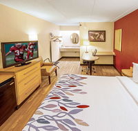 Red Roof Inn Salem - Accommodation Missouri