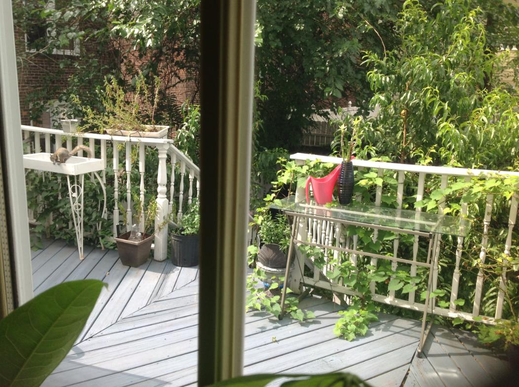 3 Bedroom, 15Min To NYC Parking Balcony NYC View J-4 - thumb 1