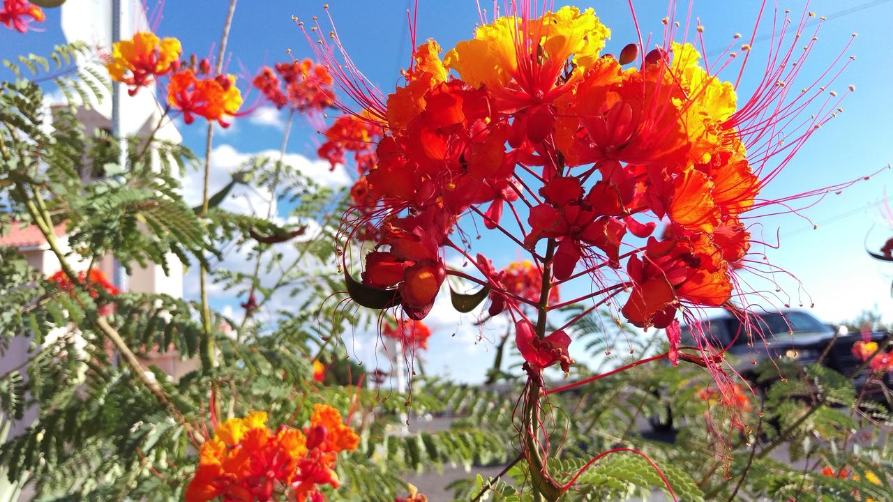 Rocket Inn - thumb 22