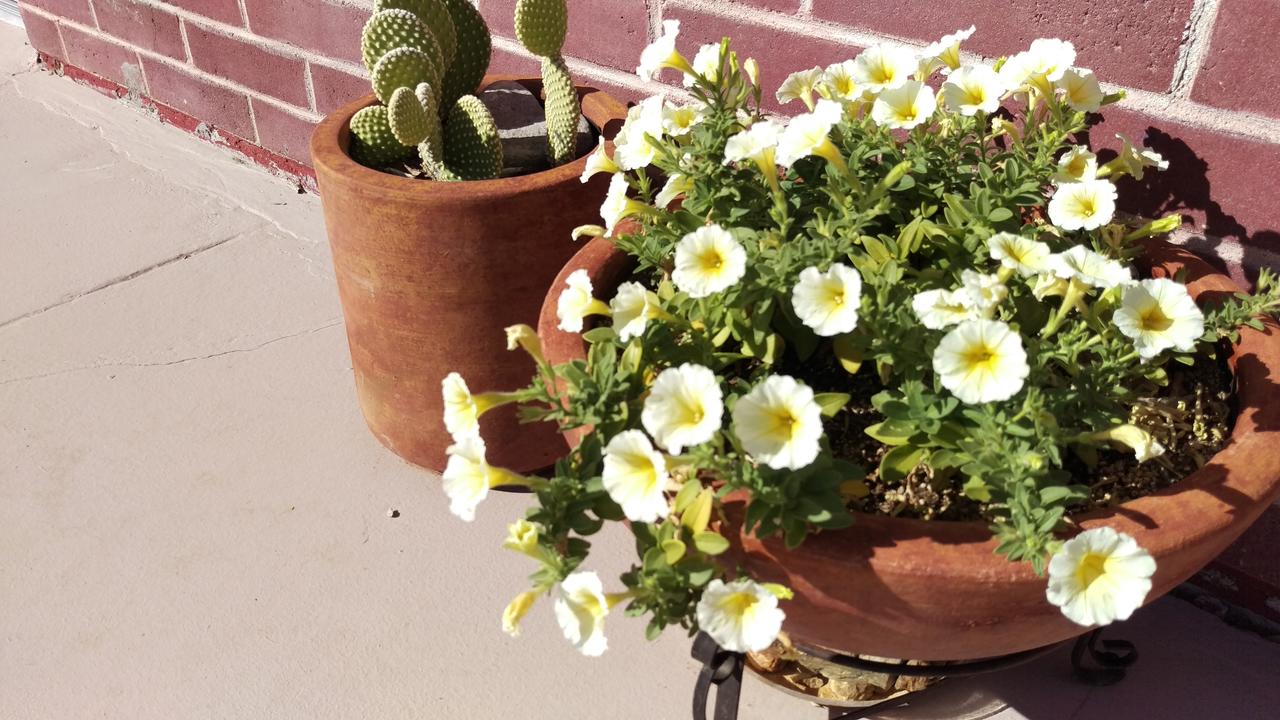 Rocket Inn - thumb 25