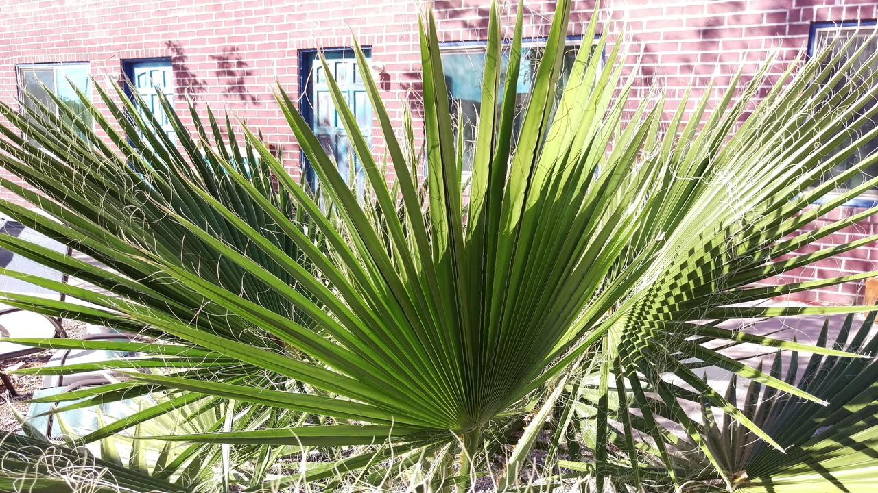 Rocket Inn - thumb 24