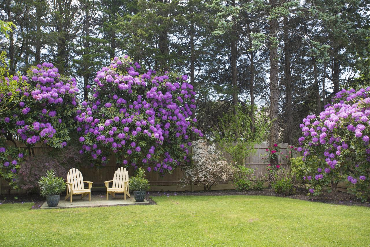 Journey East Hampton - thumb 27