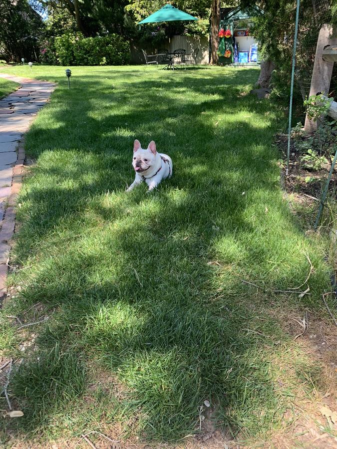 Gansett Green Manor - thumb 26