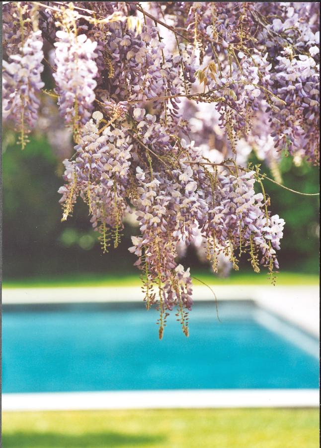 The Baker House 1650 - thumb 1