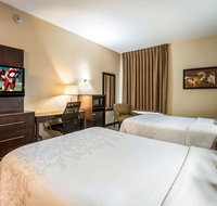 Red Roof Inn PLUS Raleigh NCSU - Convention Center - Accommodation Missouri