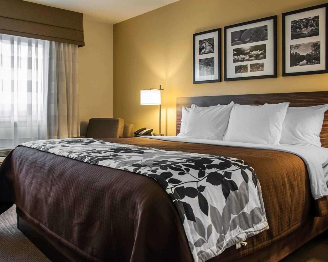 Sleep Inn & Suites I-94 - thumb 9