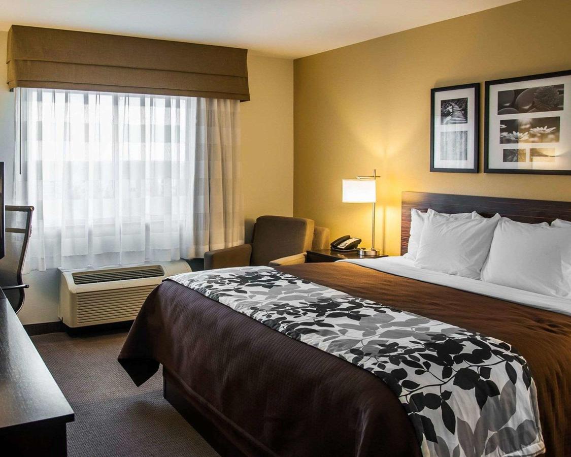 Sleep Inn & Suites I-94 - thumb 16