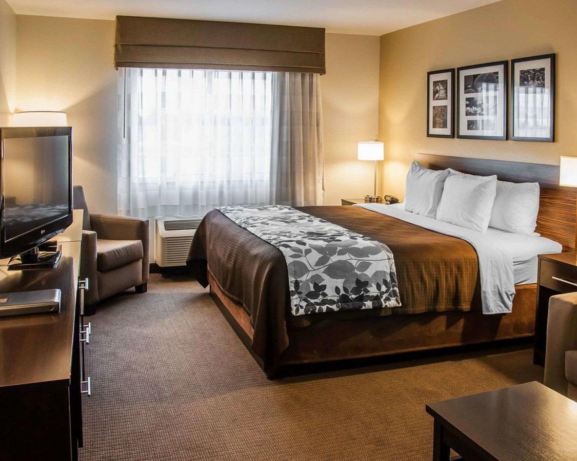 Sleep Inn & Suites I-94 - thumb 31