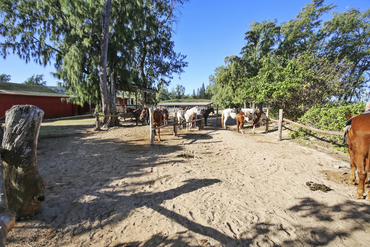 Takanoha Condo - thumb 12