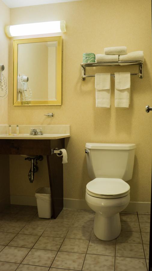 Ambassador Inn & Suites - thumb 23