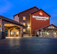 Best Western Plus Cotton Tree Inn - Accommodation Missouri