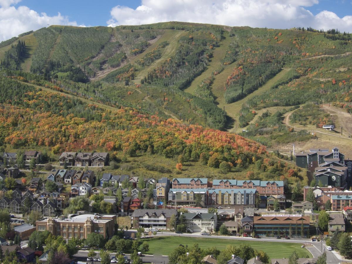 Chateau Apres Lodge - thumb 14