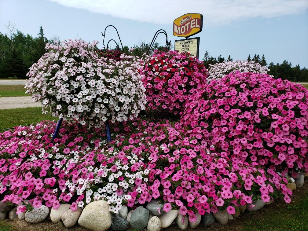Sunset Motel Of St. Ignace - thumb 2