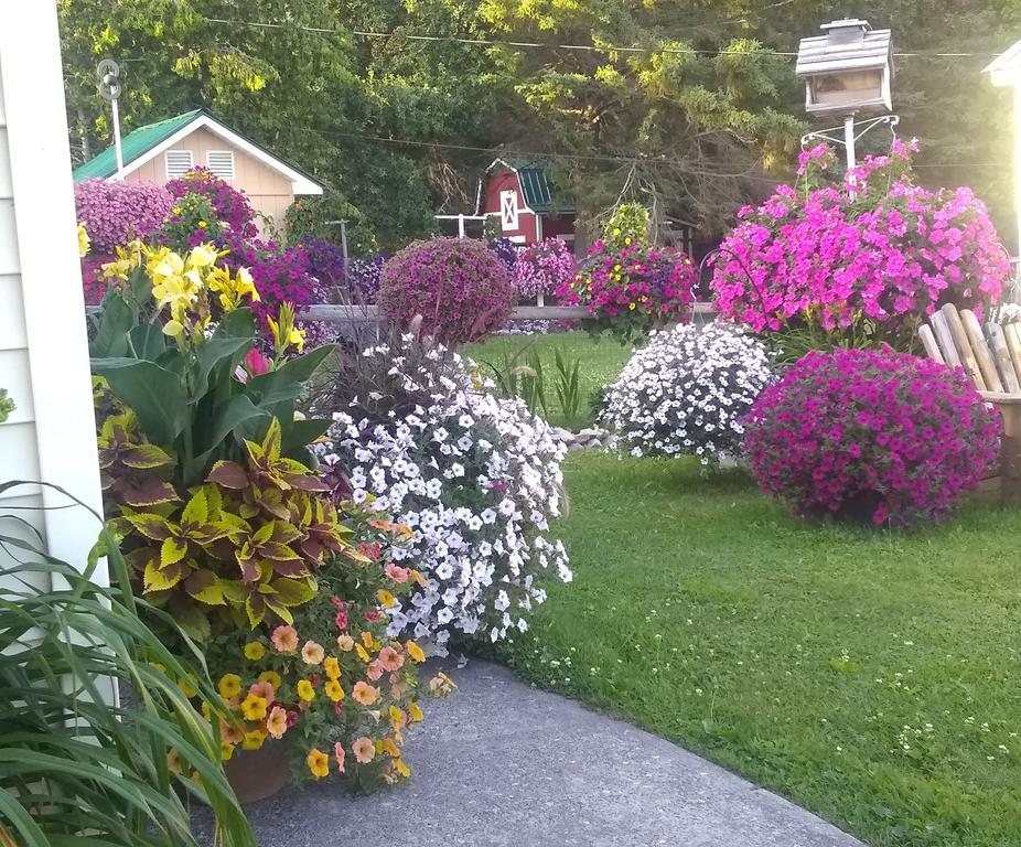 Sunset Motel Of St. Ignace - thumb 1