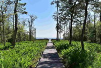 Villa R On The Bay Accommodation Missouri