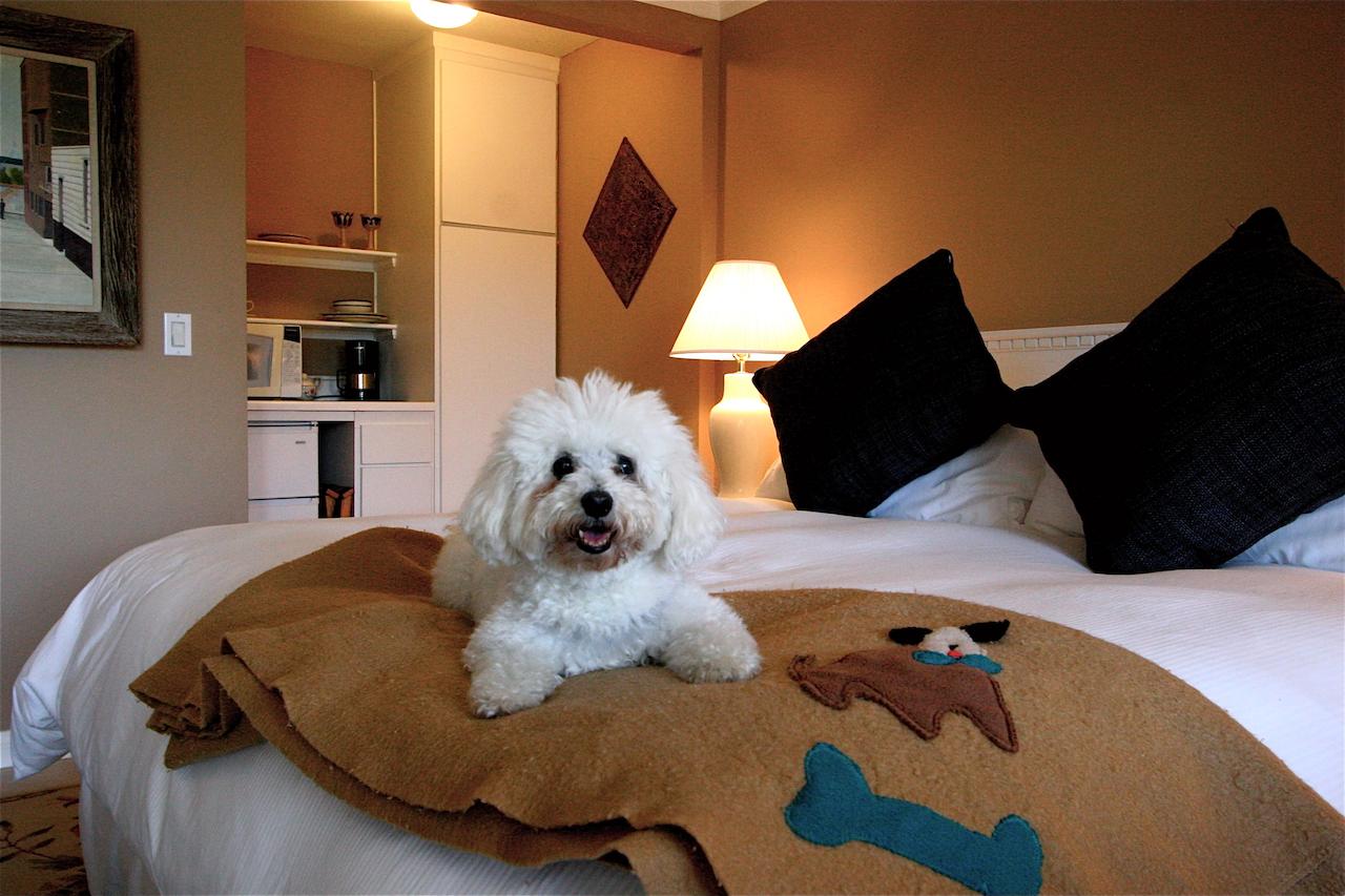 The Tides - Laguna Beach - thumb 26