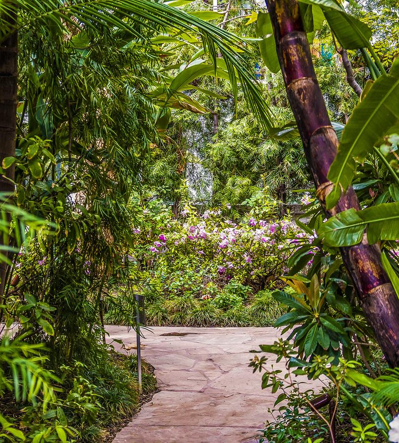 Sunset Marquis Hotel - thumb 19