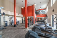Amazing Apartments near the grove Accommodation Missouri