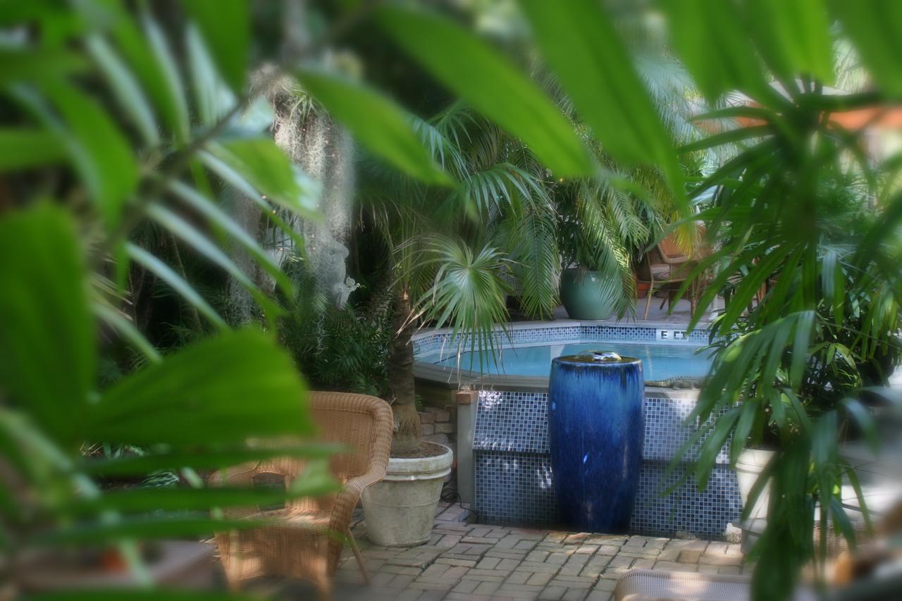 The Mermaid & The Alligator - thumb 10