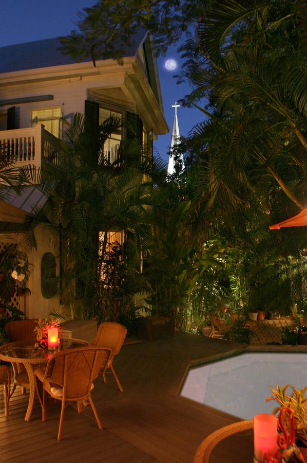 The Mermaid & The Alligator - thumb 12