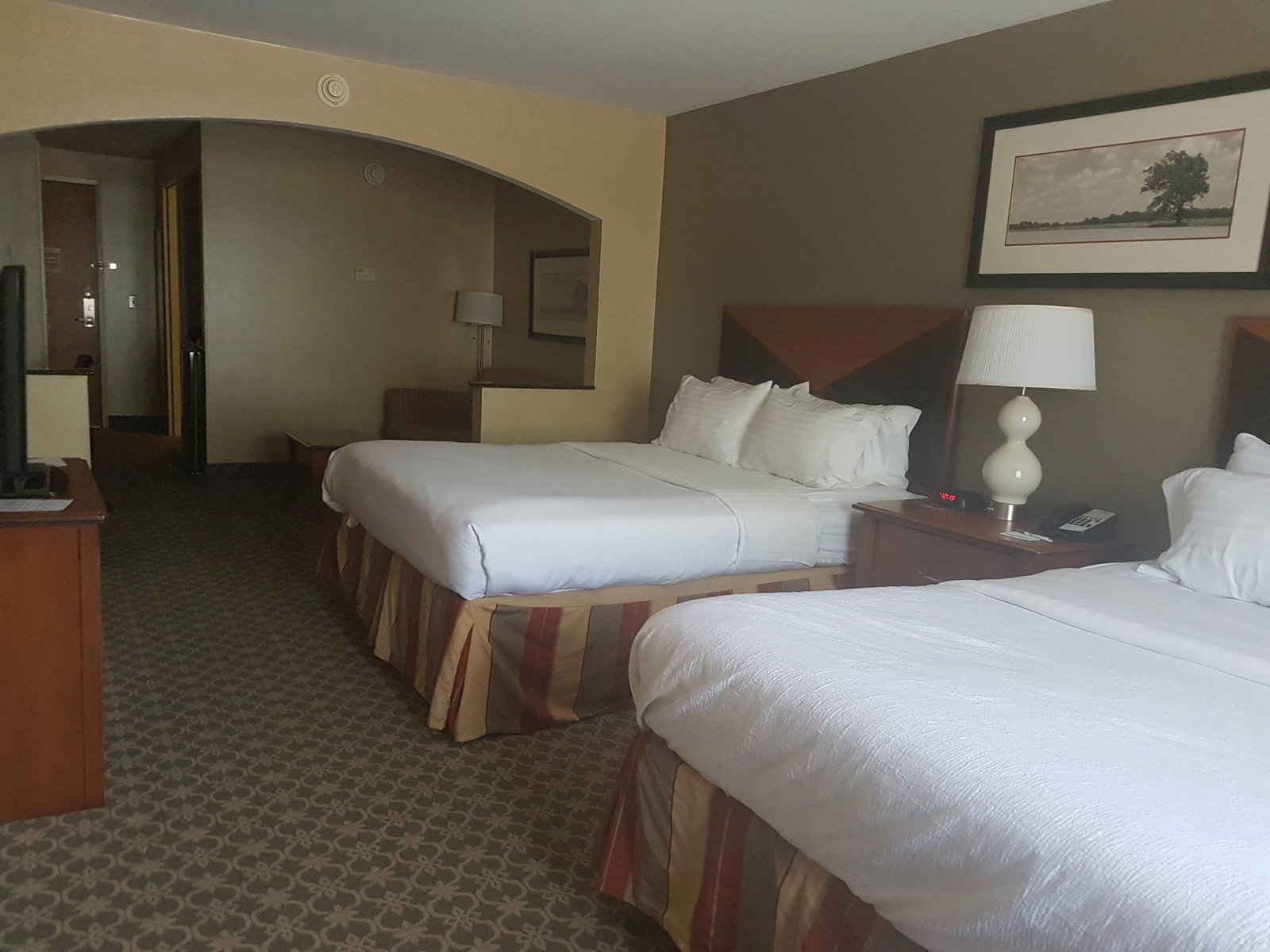 Holiday Inn Carbondale Conference Center - thumb 5
