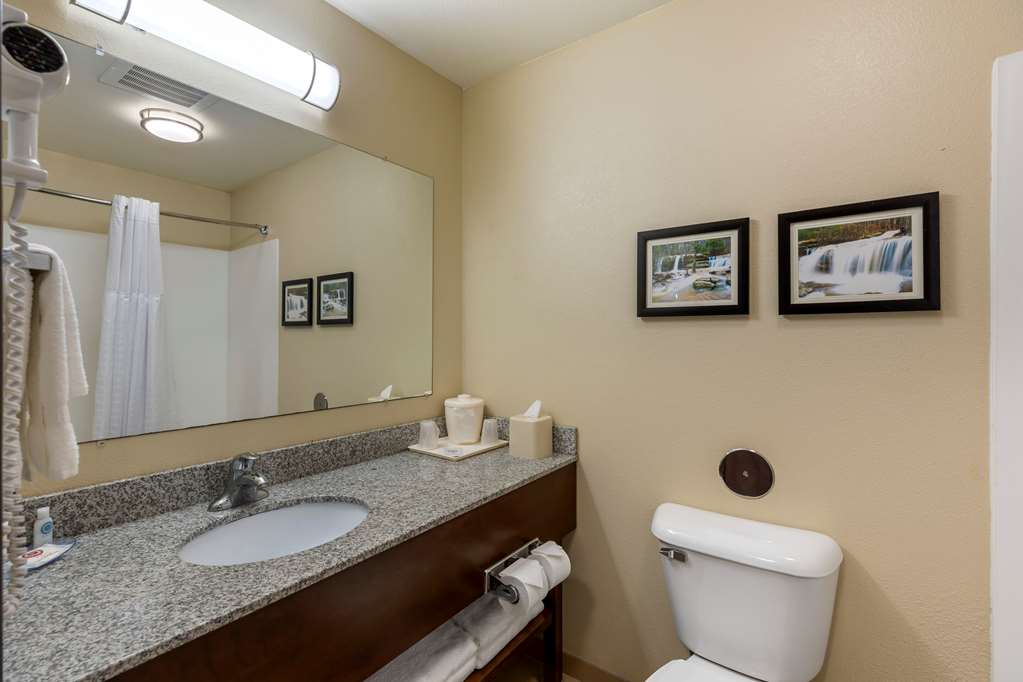 Comfort Inn - thumb 3