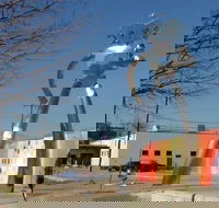 Small-Group Dallas City Highlights Tour by Minivan - Accommodation Missouri