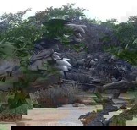 Create Your Own Dallas and Fort Worth Combination Tour - Accommodation Missouri