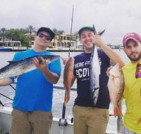 4-Hour Day or Night-Time Reef Bottom Fishing Charter in Fort Lauderdale - Accommodation Missouri