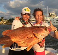 4-Hour Shared Big Game Deep Sea Fishing Charter in Fort Lauderdale - Accommodation Missouri
