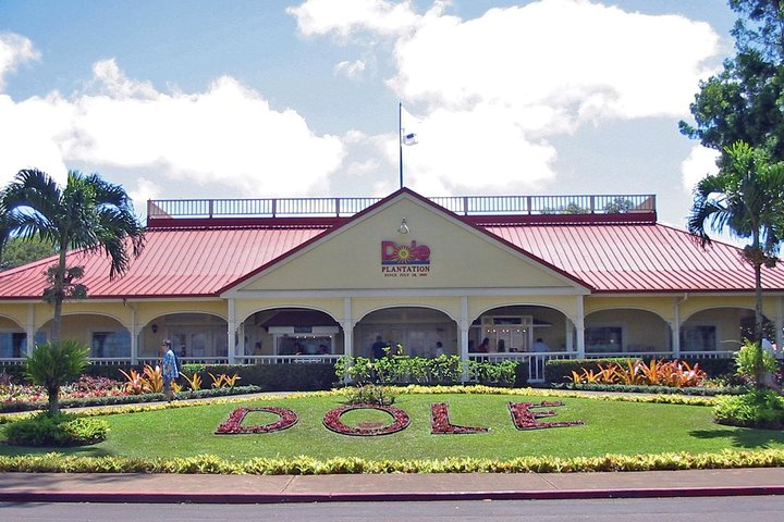 Oahu Grand Circle Island Day Tour