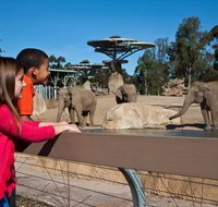 San Diego Zoo 1-Day Pass Ticket No Reservations Required - Accommodation Missouri